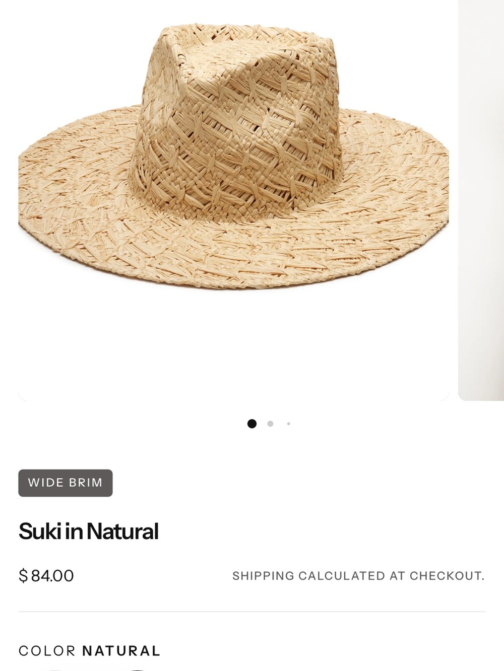 Wide-Brim Straw Hat - Natural
